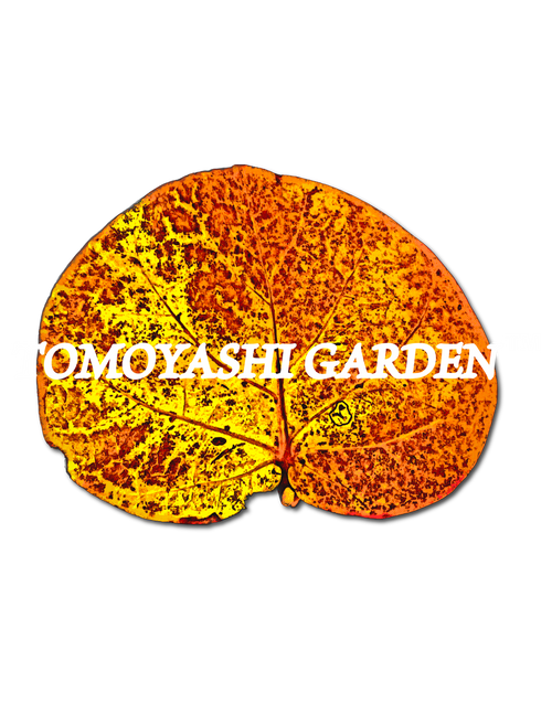 Tomoyashi Garden